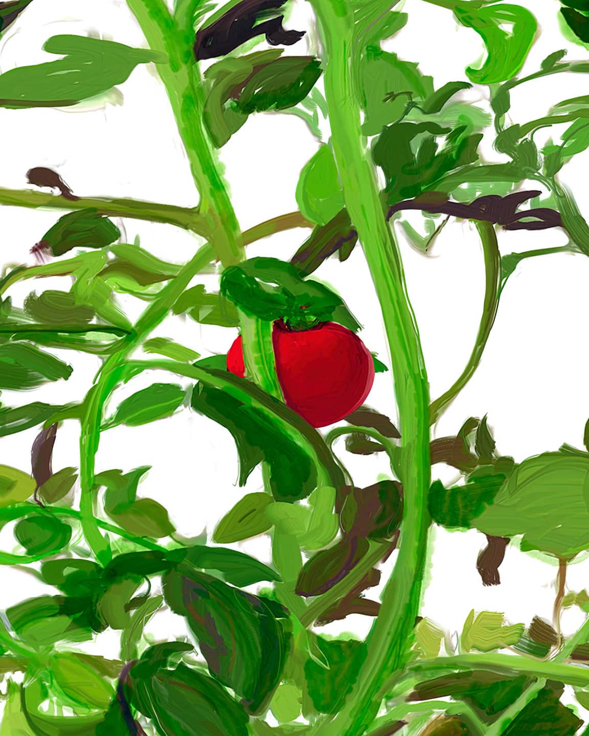 Alex Fischer, VII detail, 2015